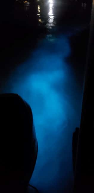 Falmouth: Luminous Lagoon Night Experience - Key things I’d plan around before you go