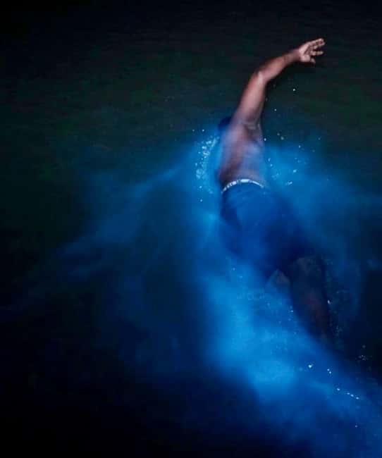 Falmouth: Luminous Lagoon Night Experience - Why the lagoon glows at night in Falmouth