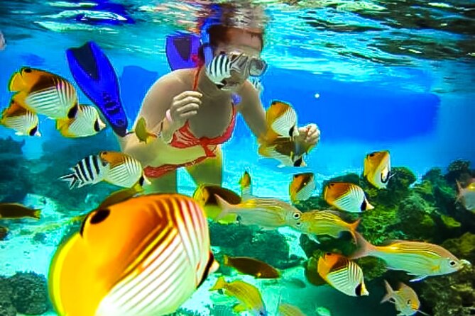 Family Fun-Snorkeling with Lunch Stop from Montego Bay - The timed snorkeling window, plus an easy pre-lesson