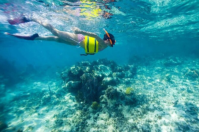 Family Fun-Snorkeling with Lunch Stop from Montego Bay - Private pickup and how the day stays simple