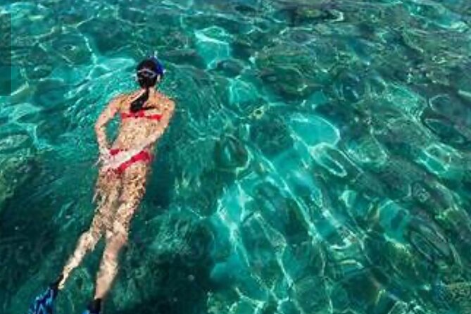 Family Fun-Snorkeling with Lunch Stop from Montego Bay - Lunch stop that feels local, not like a cafeteria detour