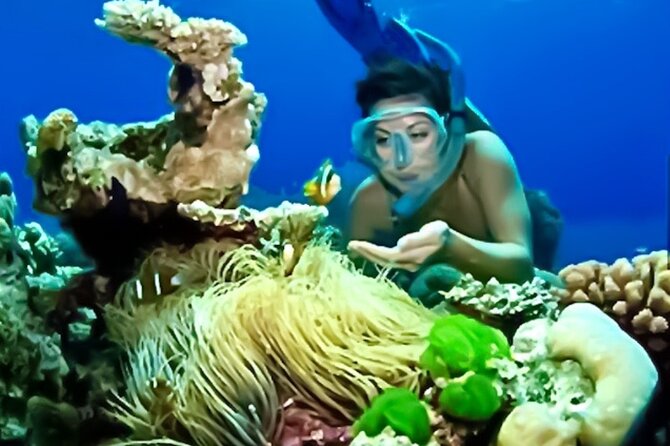 Family Fun-Snorkeling with Lunch Stop from Montego Bay - Equipment, staff help, and safety in plain terms