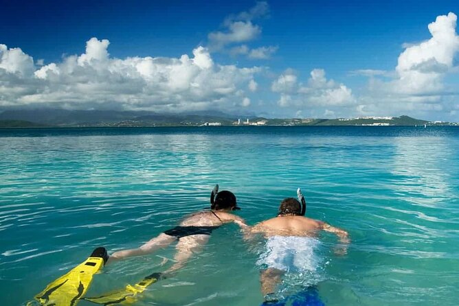 Family Fun-Snorkeling with Lunch Stop from Montego Bay - The price: $110 per person, and where the value shows up