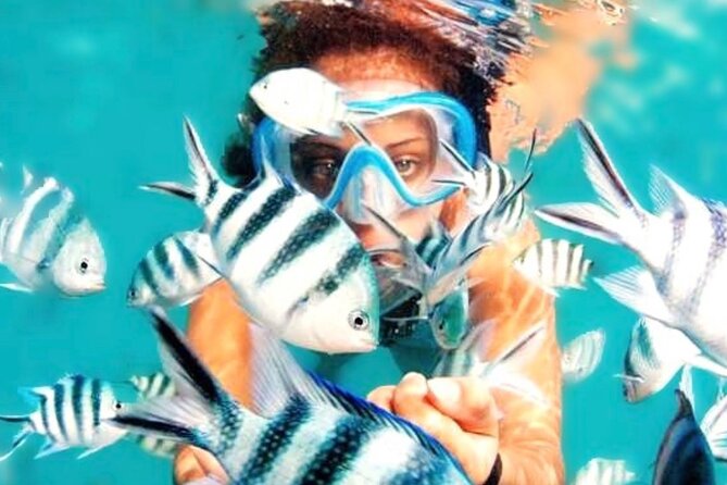 Family Fun-Snorkeling with Lunch Stop from Montego Bay - What you actually do in the water (and what you’ll see)