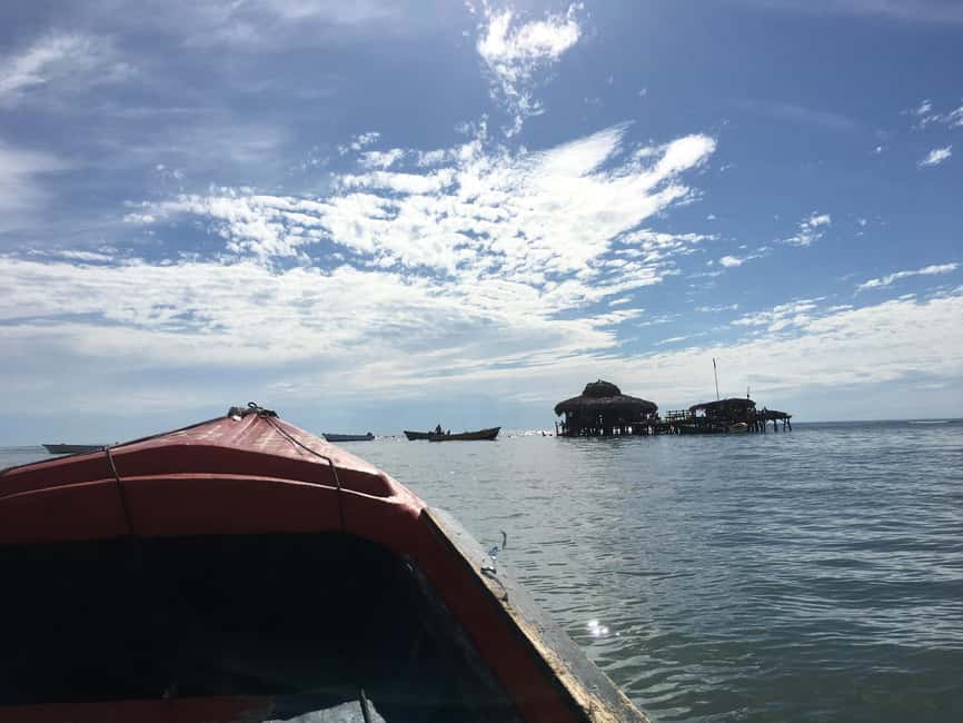 Floyd’s Pelican Bar, Ys Falls and Black River Safari Tour - Key Highlights You Will Actually Notice