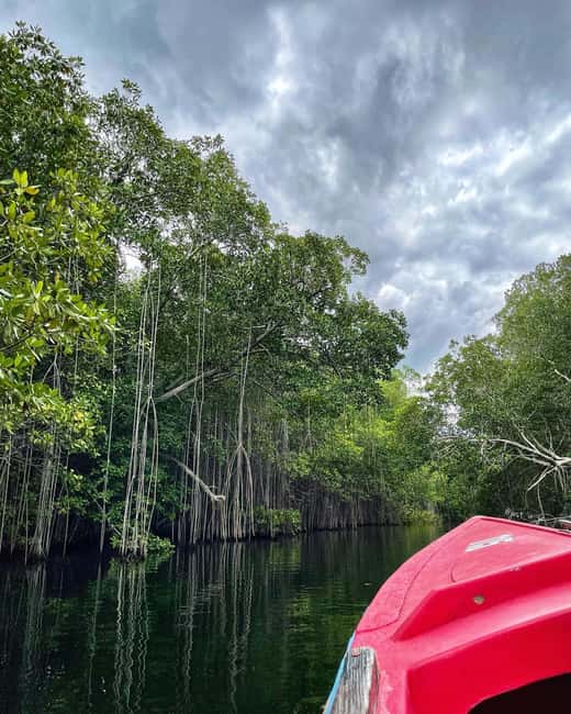 Floyd’s Pelican Bar, Ys Falls and Black River Safari Tour - Who This Tour Suits Best (And Who Might Want Another Option)