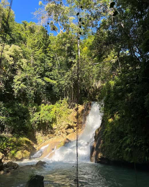 Floyd’s Pelican Bar, Ys Falls and Black River Safari Tour - Should You Book This Floyd’s Pelican Bar, YS Falls and Black River Safari Tour?