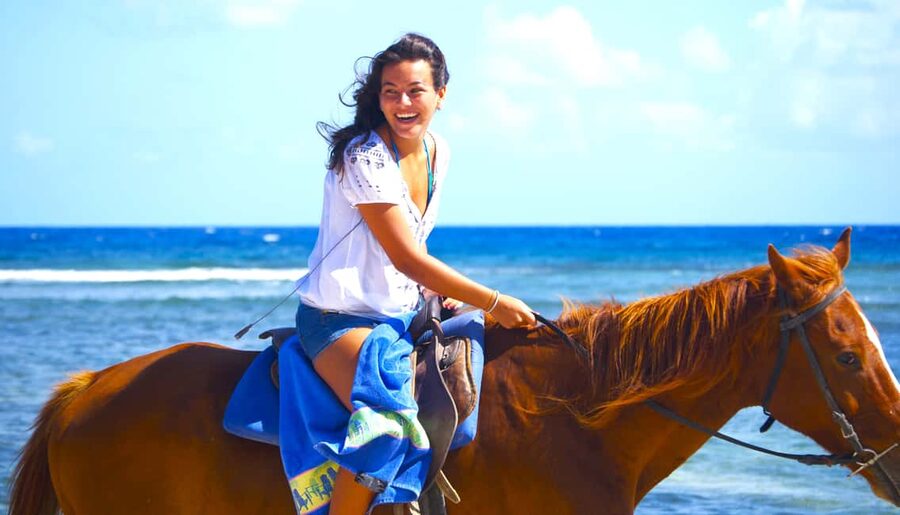 From Falmouth: Horseback Ride and Swim Beach Trip - Key Points You Should Know Before You Go