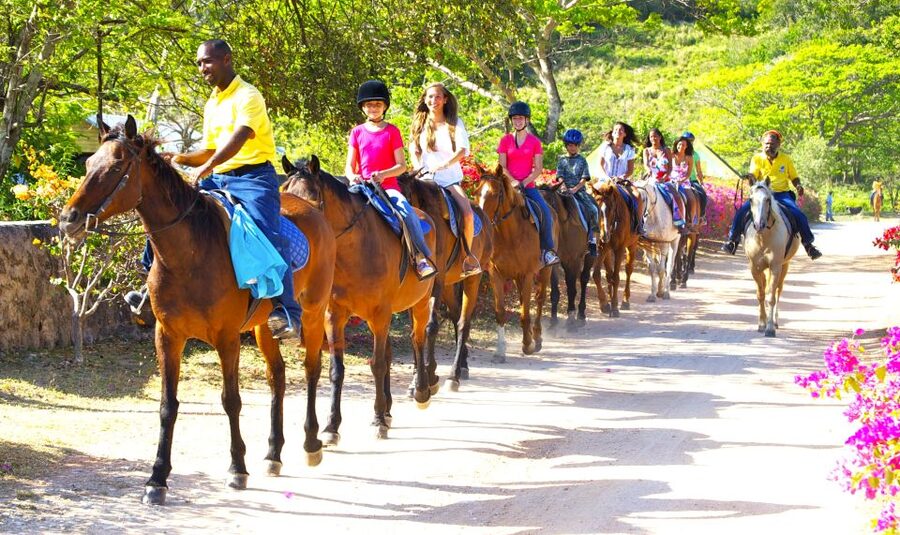 From Falmouth: Horseback Ride and Swim Beach Trip - Riding Through Farmlands With Humorous, Story-Style Commentary