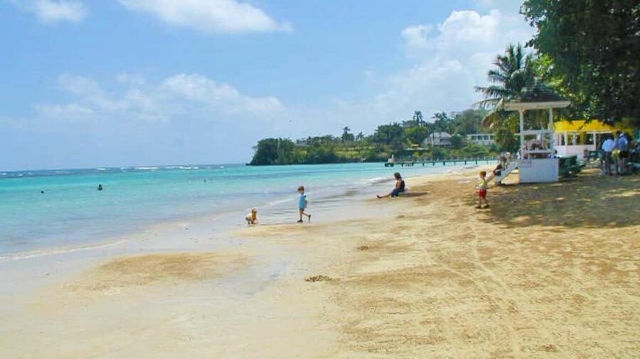 From Montego Bay: Dunn’s River Falls Experience - Key highlights to know before you go