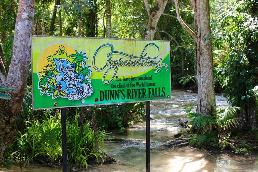 From Montego Bay: Dunn’s River Falls Experience - Who this trip suits best, and who should reconsider