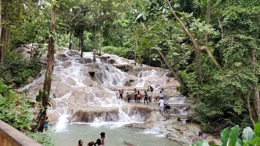 From Montego Bay: Dunn’s River Falls Experience - Gardens, markets, and souvenirs that do not feel like an afterthought