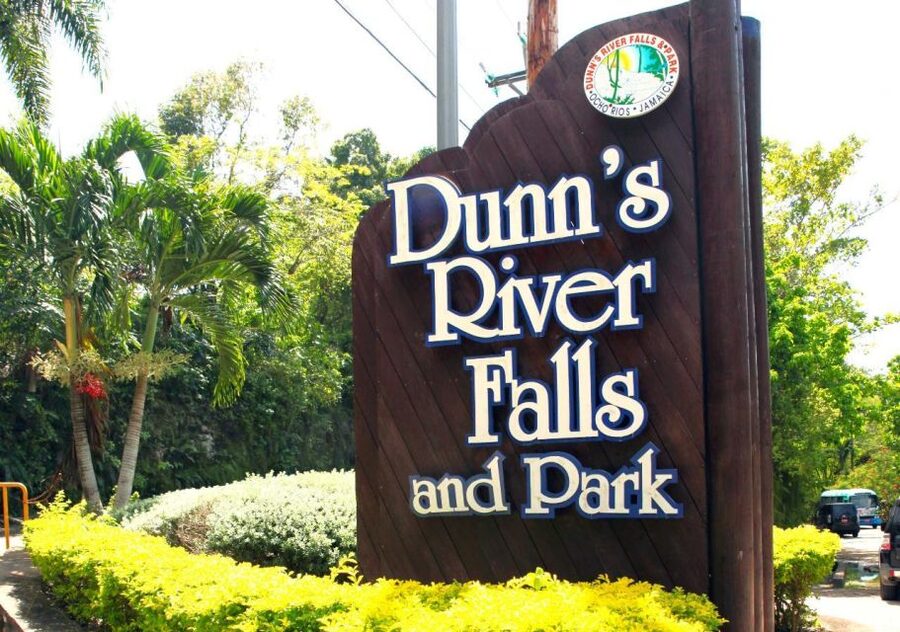From Montego Bay: Dunn’s River Falls Experience - Transportation and comfort: why the small van matters
