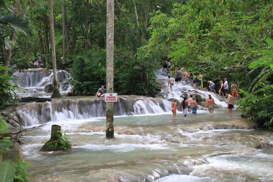 From Montego Bay: Dunn’s River Falls Experience - Price and value: what $135 buys you, and what it does not