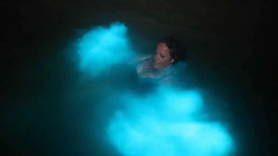 From Montego Bay: Luminous Lagoon Boat Tour with Transfer - Nighttime Magic on the Water, and Why Your Touch Matters