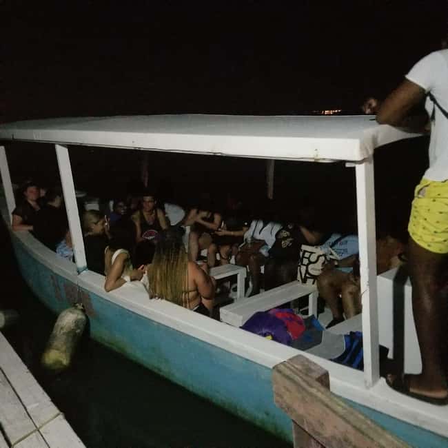 From Montego Bay: Luminous Lagoon Boat Tour with Transfer - Photos and What You Can Realistically Expect