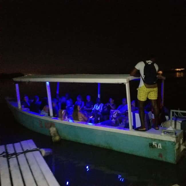 From Montego Bay: Luminous Lagoon Boat Tour with Transfer - Getting in the Water: Lifeguards, Life Jackets, and Shallow-Time Comfort