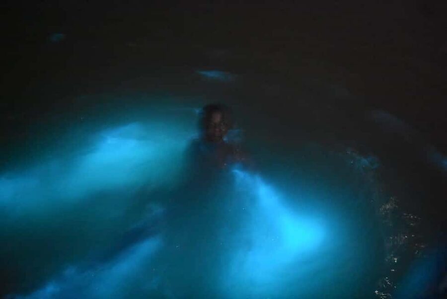 From Montego Bay: Luminous Lagoon Night Tour - The 3-hour flow: from meeting point to boat glow