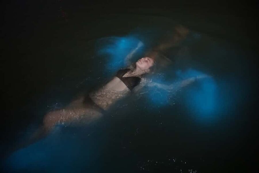 From Montego Bay: Luminous Lagoon Nighttime Boat Tour - Key highlights you should care about