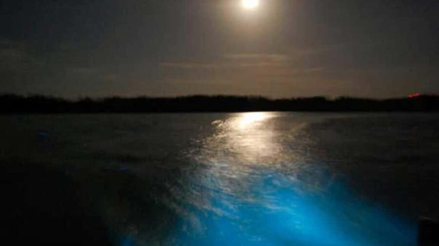 From Montego Bay: Luminous Lagoon Nighttime Boat Tour - Getting from Montego Bay to Falmouth and the coast