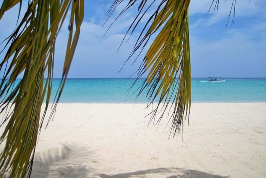 From Montego Bay: Negril Beach and Rick's Café Day Trip - Sun, sand, and water: planning for swimming and snorkeling