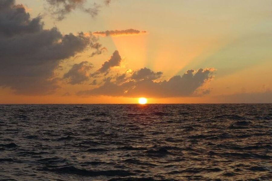 From Montego Bay: Negril Beach and Rick's Café Day Trip - Price and logistics: is $105 for 5 hours good value?