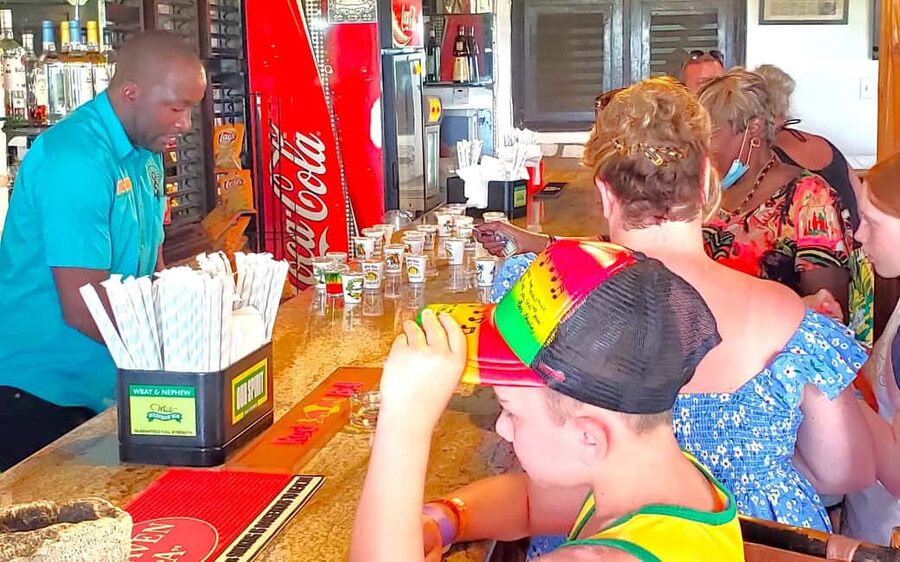 From Runaway Bay: Bob Marley Mausoleum Guided Day Trip - Key points to know before you go