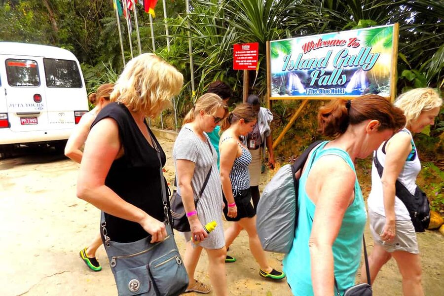 From Runaway Bay: Island Gully Falls and Blue Hole Tour - Quick hits before you go