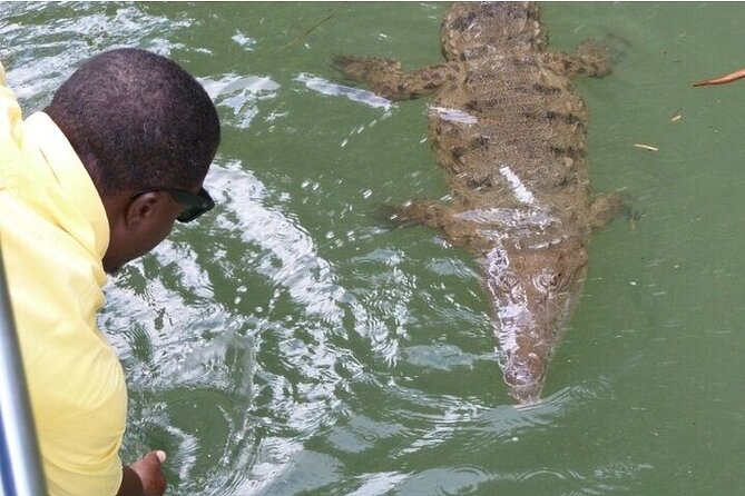 Full-Day South Coast - YS Falls, Pelican Bar & Black River Safari - A One-Day South Coast Run from Negril, with Waterfalls, River Wildlife, and Pelican Bar Views