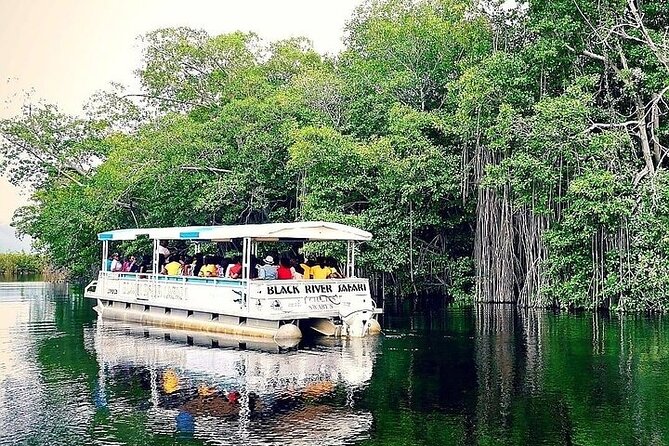 Full-Day South Coast - YS Falls, Pelican Bar & Black River Safari - Stop 1, YS Falls: The 7-Tier Waterfall Feeling and a Wading Pool You Can Actually Use