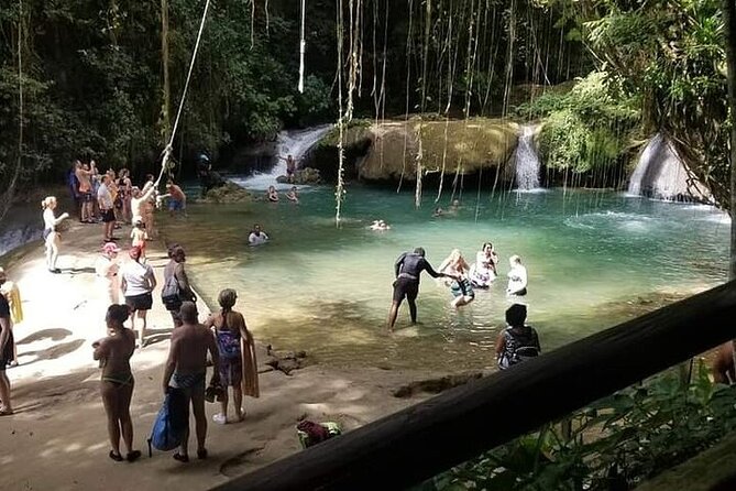 Full-Day South Coast - YS Falls, Pelican Bar & Black River Safari - The Role of Your Guide, and Why It Can Change the Whole Day