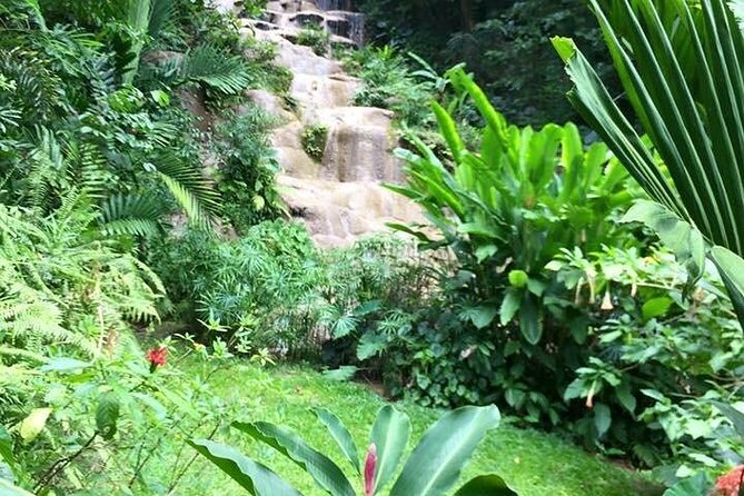 Fun tour for kids with River tubing and Konoko Falls - Getting Started in Runaway Bay: 9:00 AM Timing, Pickup, and a Small Group