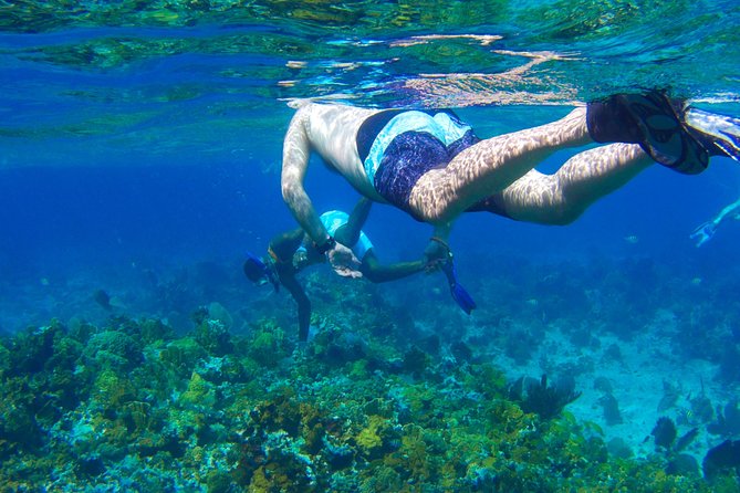 Glass Bottom Boat Ride/Snorkeling/Booby Cay Island from Negril - Key things to know before you go