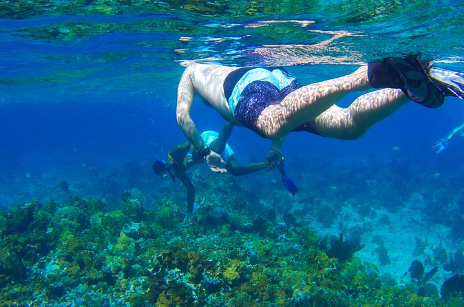 Glass Bottom Boat Ride/Snorkeling/Booby Cay Island from Negril - Booby Cay Island: beach time, swimming, and optional lobster lunch