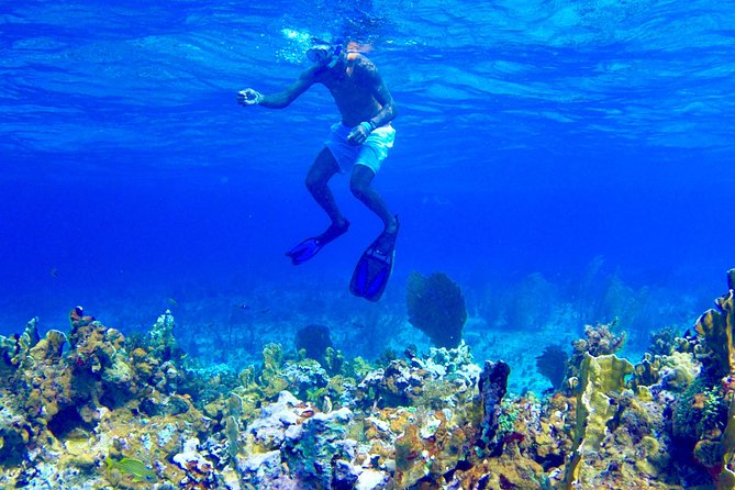 Glass Bottom Boat Ride/Snorkeling/Booby Cay Island from Negril - Meeting at Margaritaville Negril: location, timing, and how pickup works