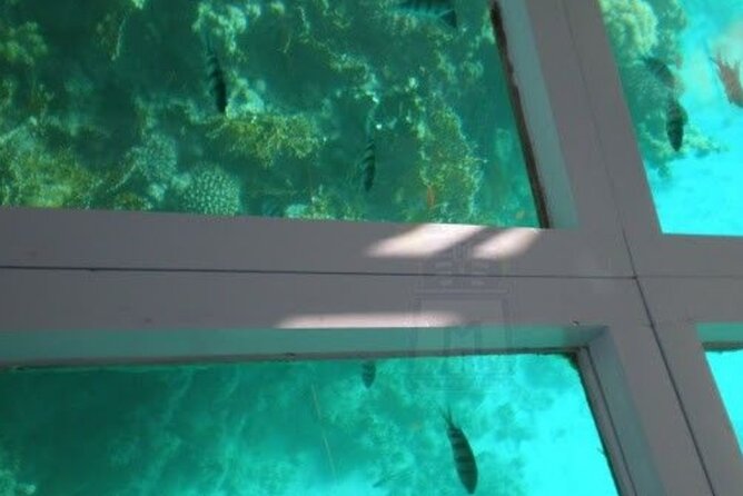 Glass Bottom Boat Water Activity in Montego Bay Jamaica - The $90 per person value, and what it actually buys you