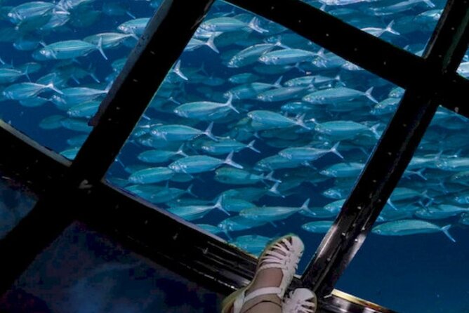 Glass Bottom Boat Water Activity in Montego Bay Jamaica - Timing on the water, and why 1 hour 20 minutes is the sweet spot