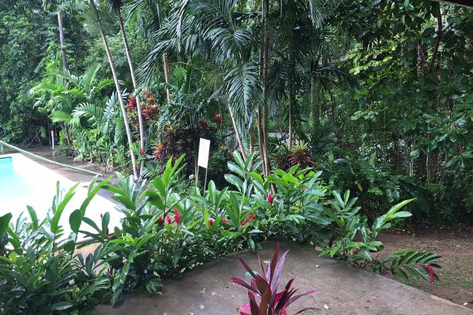 Half-Day Private Martha Brae Rafting Tour from Montego Bay - Price and Value: What $140 Per Person Is Really Buying