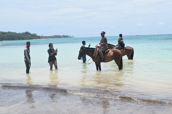 Horse Back Riding and Blue Hole From Montego Bay - A Rustic Nature Day from Montego Bay