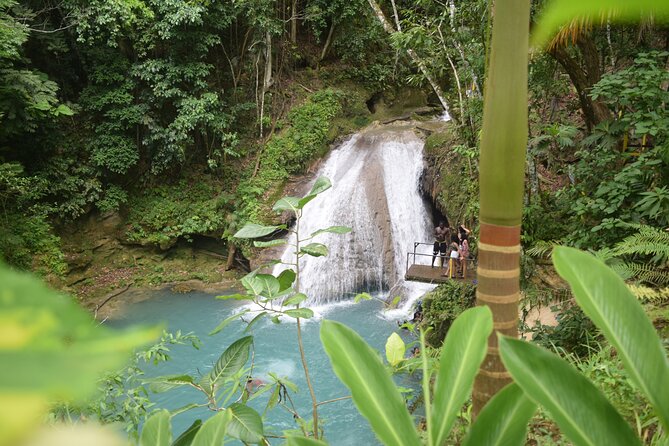 Horse Back Riding and Blue Hole From Montego Bay - Horseback Riding to the Beach, Plus a Water Swim