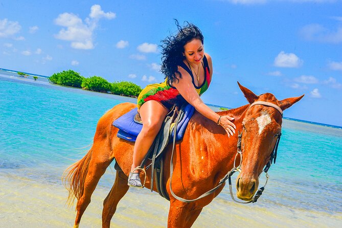 Horseback Ride and Swim Experience Montego with Transportation - The Swim With the Horses: The Best Part, and the One You Should Plan For