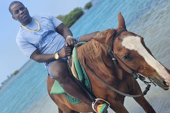 Horseback Ride and Swim Experience Montego with Transportation - Price and Value: What $110 Gets You in Montego Bay