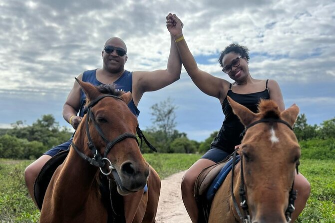 Horseback Ride and Swim Experience Montego with Transportation - Who This Tour Suits Best (and Who Should Think Twice)
