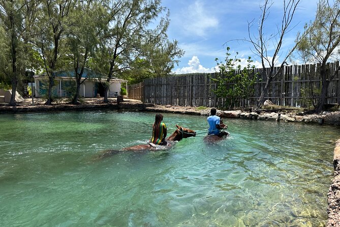 Horseback Ride and Swim Guided Tour from Montego Bay - The Countryside Trail Ride: Scenery, Farms, and Jamaica Narration