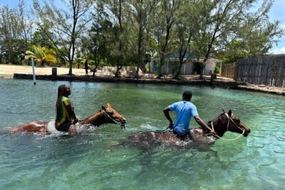 Horseback Ride and Swim Guided Tour from Montego Bay