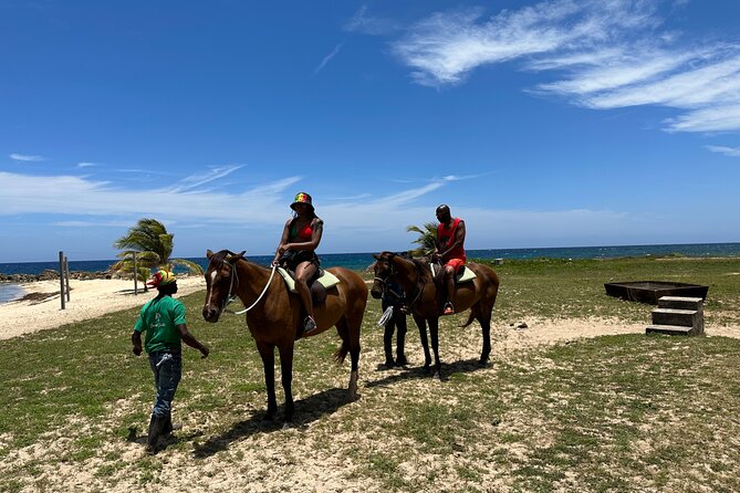 Horseback Ride and Swim Guided Tour from Montego Bay - Transportation, Comfort, and the Small Details That Matter
