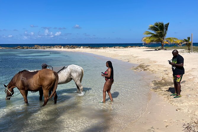 Horseback Ride and Swim Guided Tour from Montego Bay - Who This Tour Suits Best, and Who Might Want to Skip It