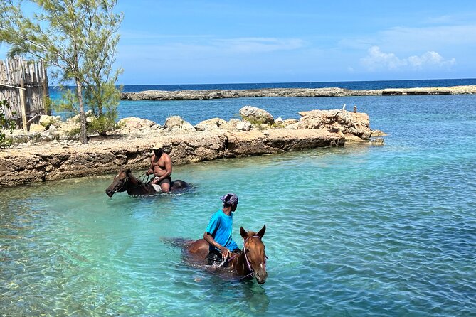 Horseback Ride and Swim Tour In Montego Bay - The Swim With the Horse: Fun, Warm Water, and a Couple of Real Constraints