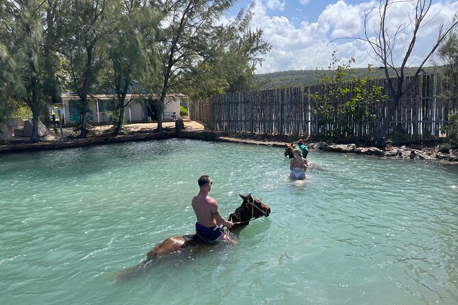 Horseback Ride and Swim Tour In Montego Bay - Shopping, Sightseeing, and Lunch on Your Own