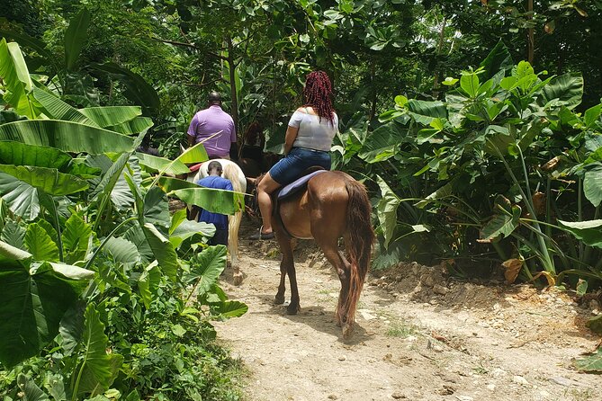 Horseback 'Ride N Swim' & Dunns River Falls from Montego Bay - Key things that make this tour worth your attention